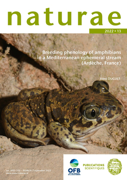 alecedo, Phénologie de la reproduction des amphibiens