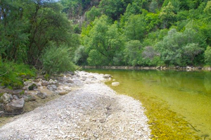 alcedo, Suivi d'indicateurs de la fonctionnalité de la rivière Bienne (39)