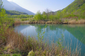 alcedo, Aménagement du site de la Rivoire sur la rivière Drac