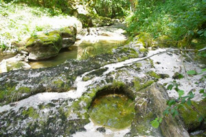 alcedo, Suivis d'amphibiens d'intérêt communautaire en sites Natura 2000