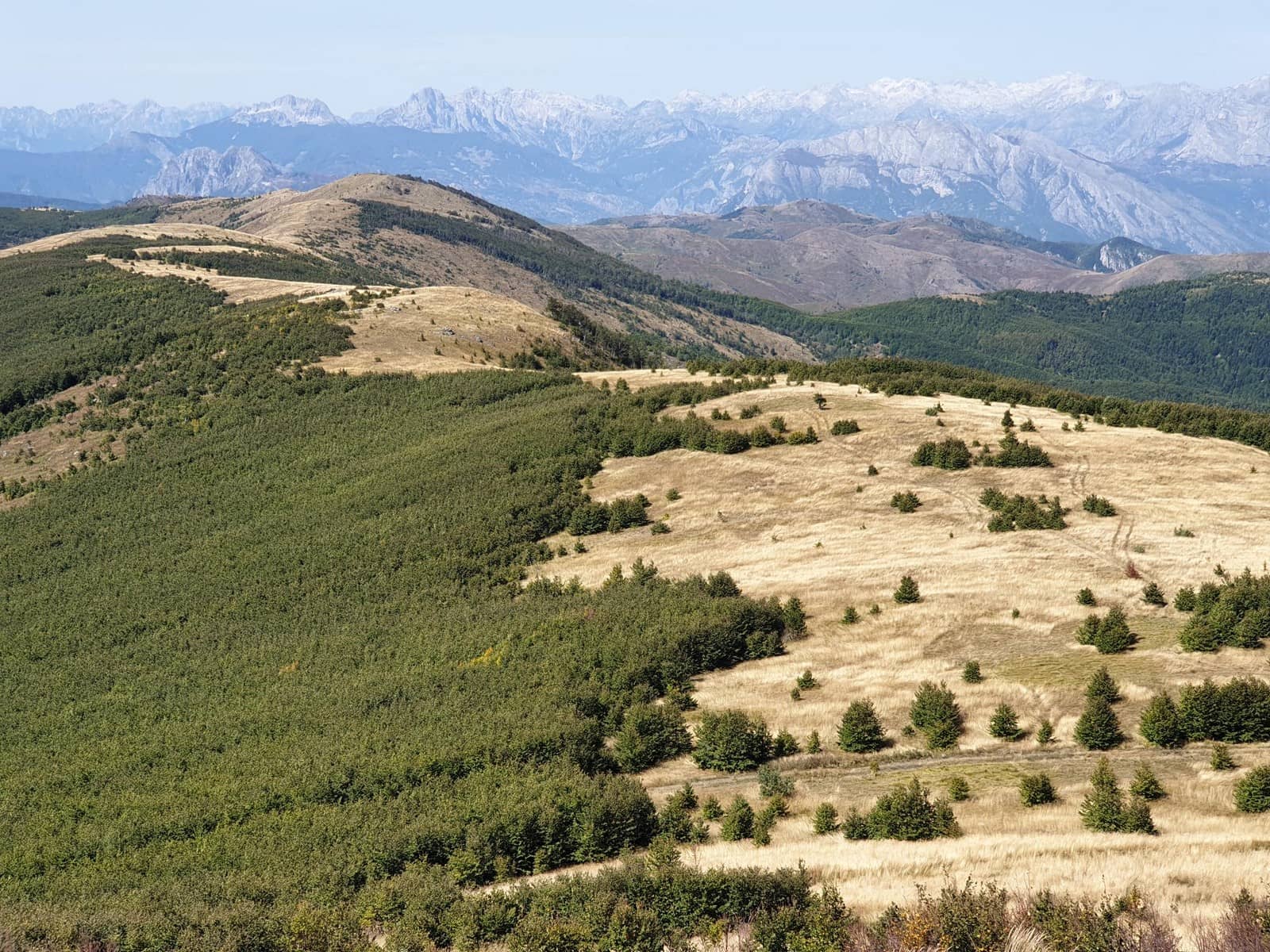 alcedo, Projet éolien en Albanie