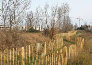 alcedo, Bilan de fin de chantier dans la zone humide du Clos Marin à Sérignan